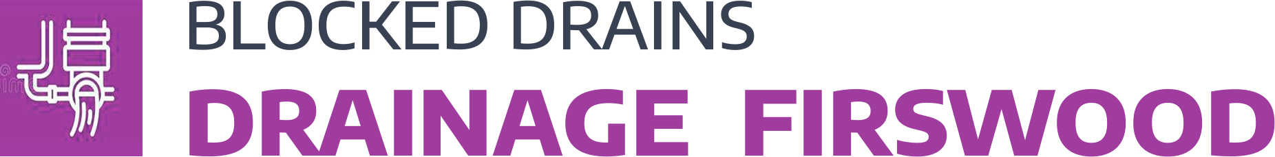 website logo